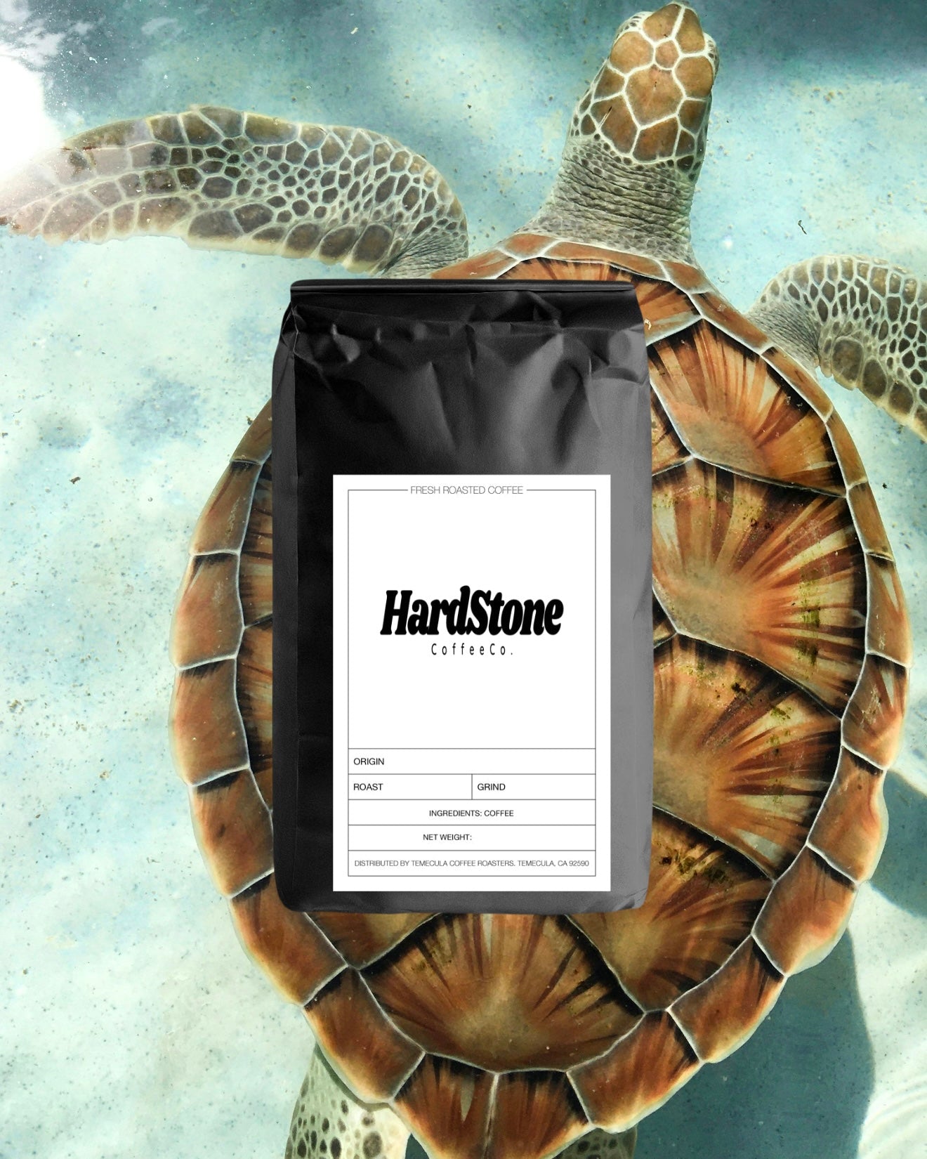“Drift Shell” Turtle Blend